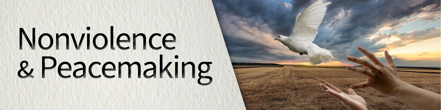 Nonviolence and Peacemaking